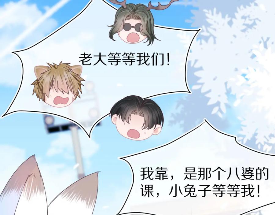 一口吃个兔 第17章 都是反骨仔 第81页