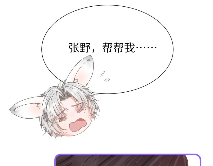 一口吃个兔 第19章 臭熊骗我！ 第11页