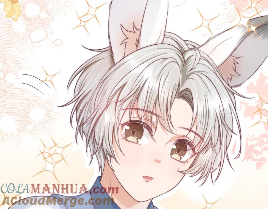 一口吃个兔 第41章 张野的小秘密 第29页
