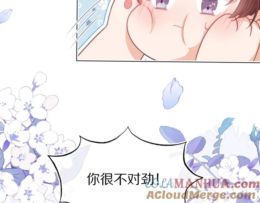 一口吃个兔 第44章 别动！ 第121页