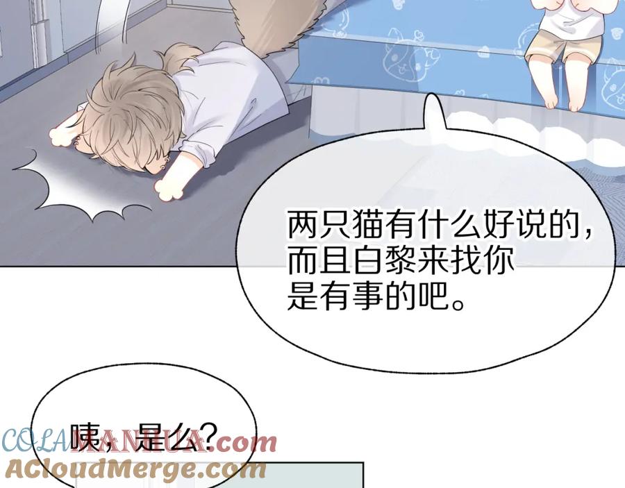 一口吃个兔 第13话 值了 第53页