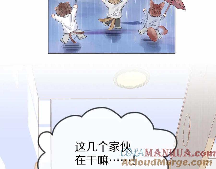 一口吃个兔 第24话 一切为了老大！ 第41页