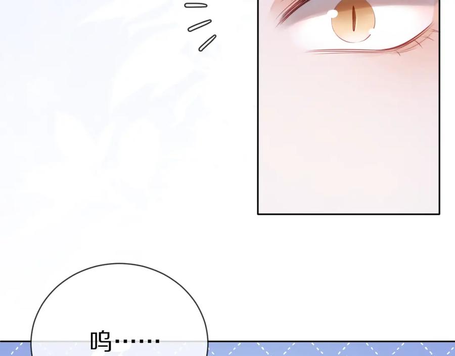 一口吃个兔 第1话 他要吃了我！ 第70页