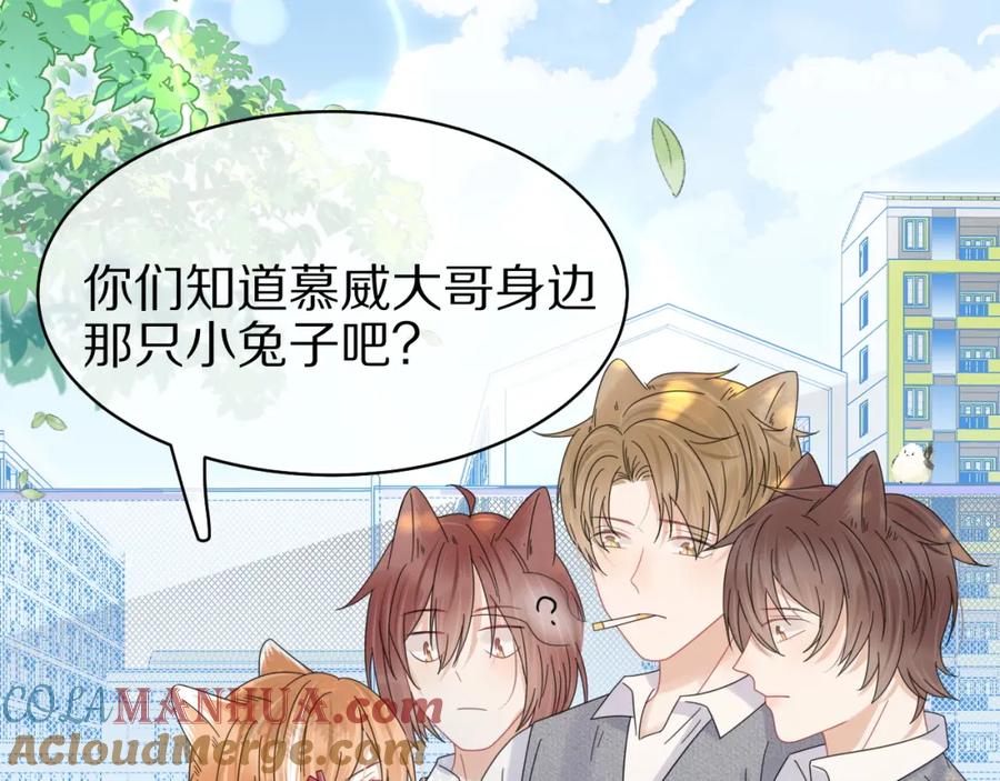 一口吃个兔 第32话 小猫行动中 第70页