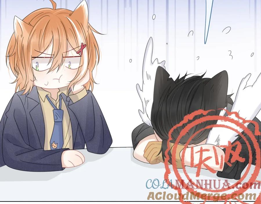 一口吃个兔 第32话 小猫行动中 第61页