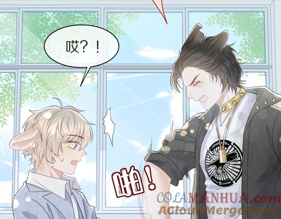 一口吃个兔 第32话 小猫行动中 第55页