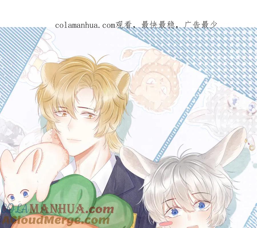一口吃个兔 第32话 小猫行动中 第1页