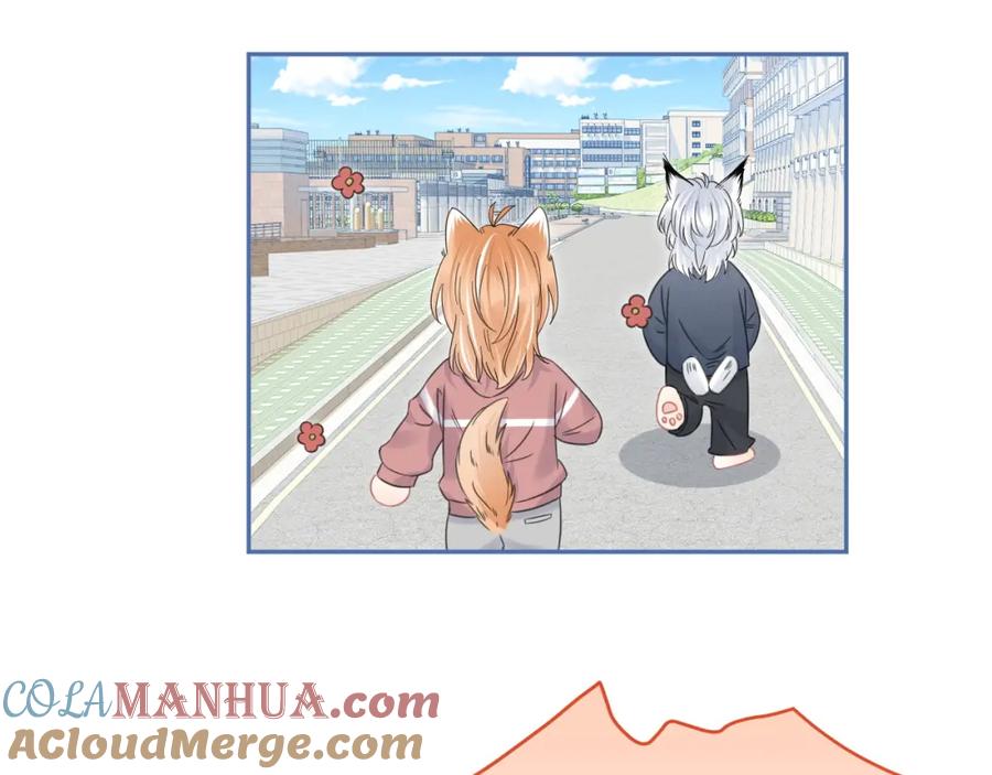 一口吃个兔 第37话 这个猞猁好烦人 第25页
