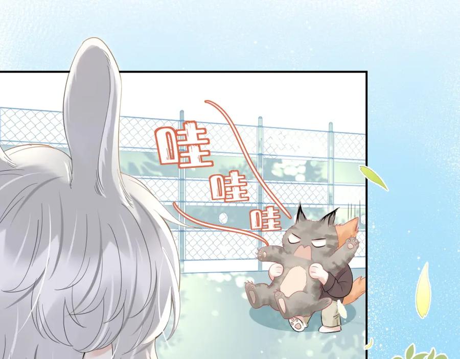 一口吃个兔 第39话 换毛的季节到了 第8页