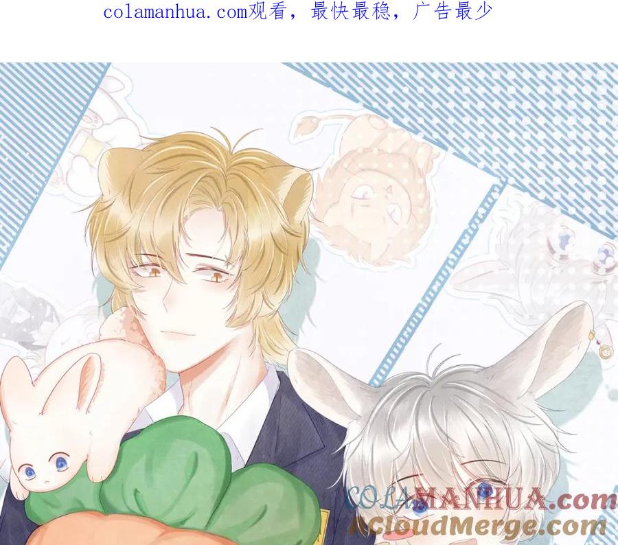 一口吃个兔 第39话 换毛的季节到了 第1页
