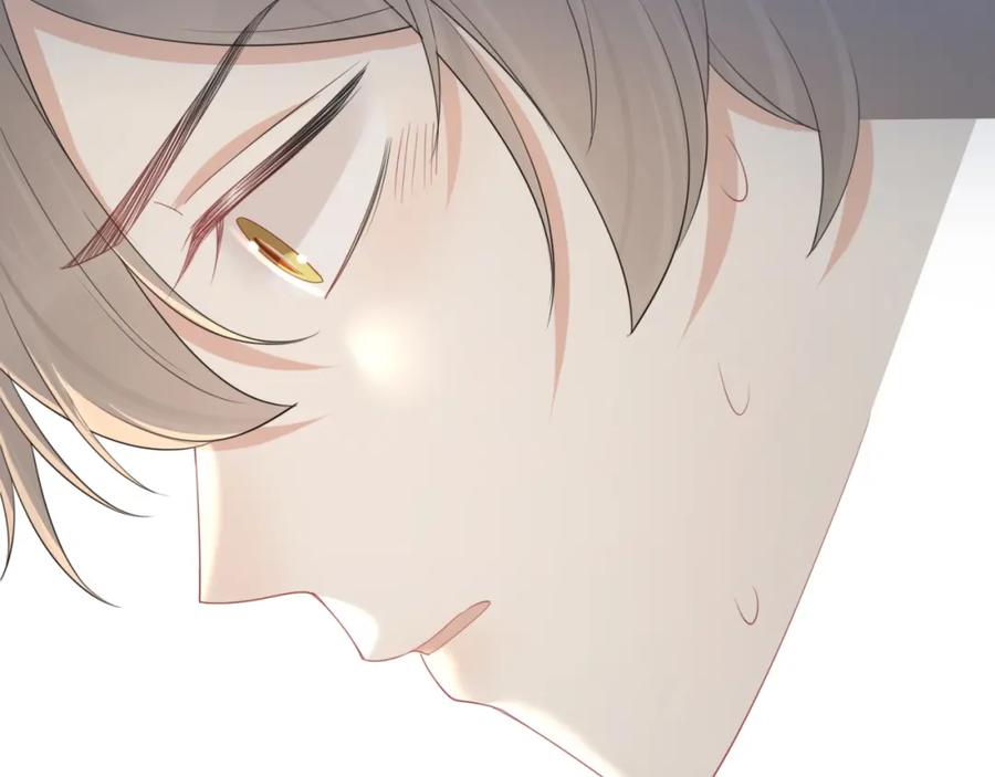 一口吃个兔 第43话 陆微不见了？ 第115页