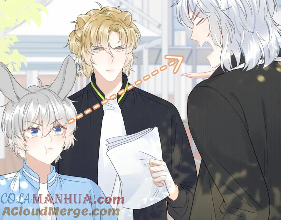 一口吃个兔 第43话 陆微不见了？ 第5页