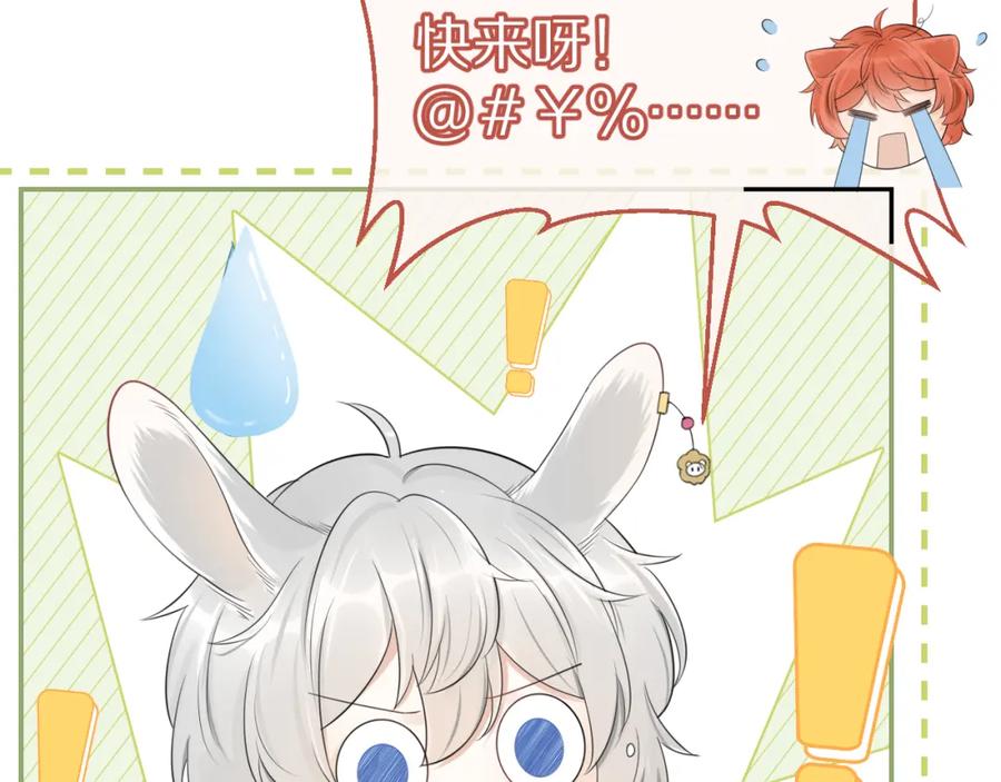 一口吃个兔 第48话 小猫的进攻 第11页