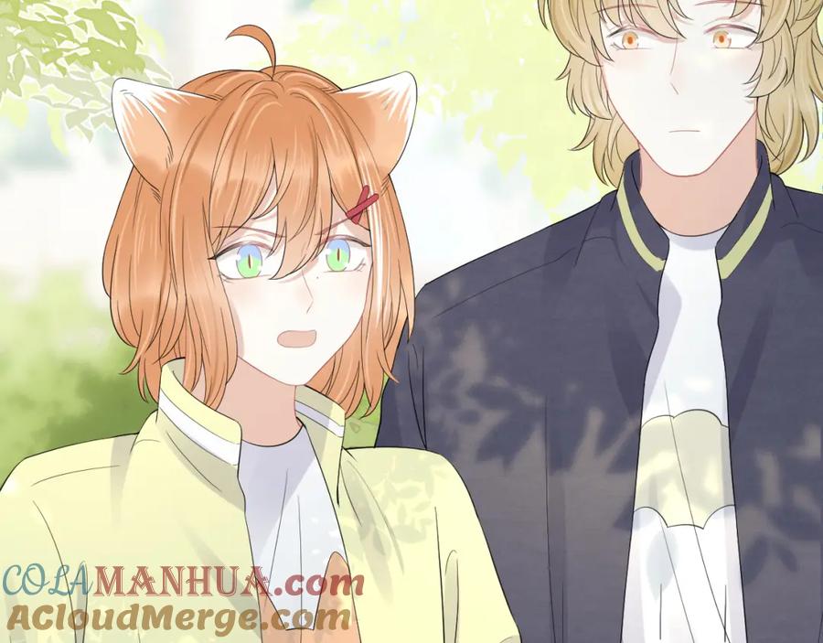 一口吃个兔 第48话 小猫的进攻 第41页