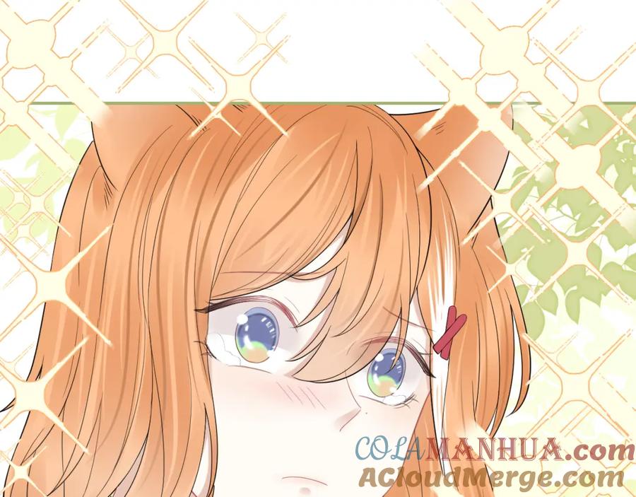 一口吃个兔 第48话 小猫的进攻 第53页