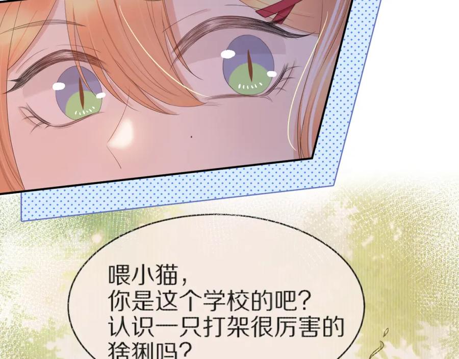 一口吃个兔 第55章 隔壁的甜品半价啦！ 第94页