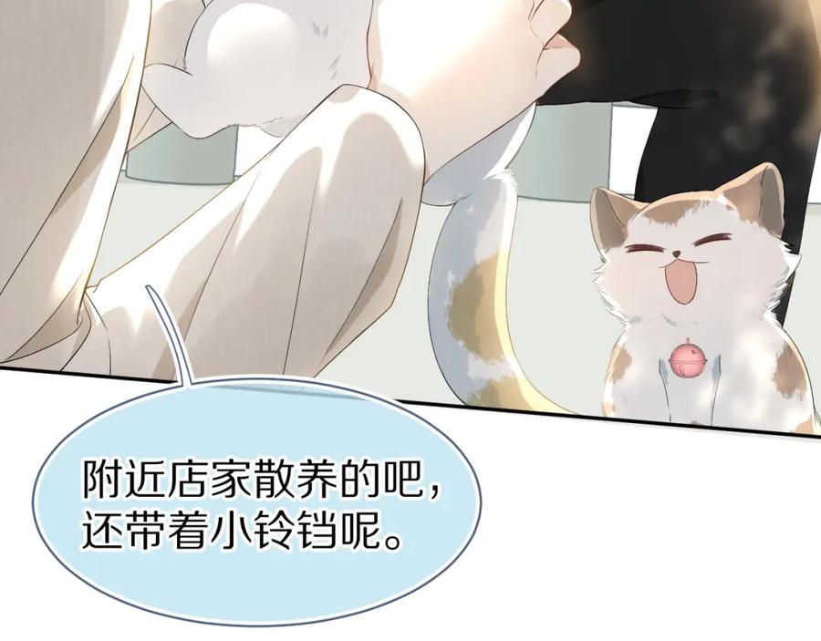 一口吃个兔 第59章 偶遇 第41页