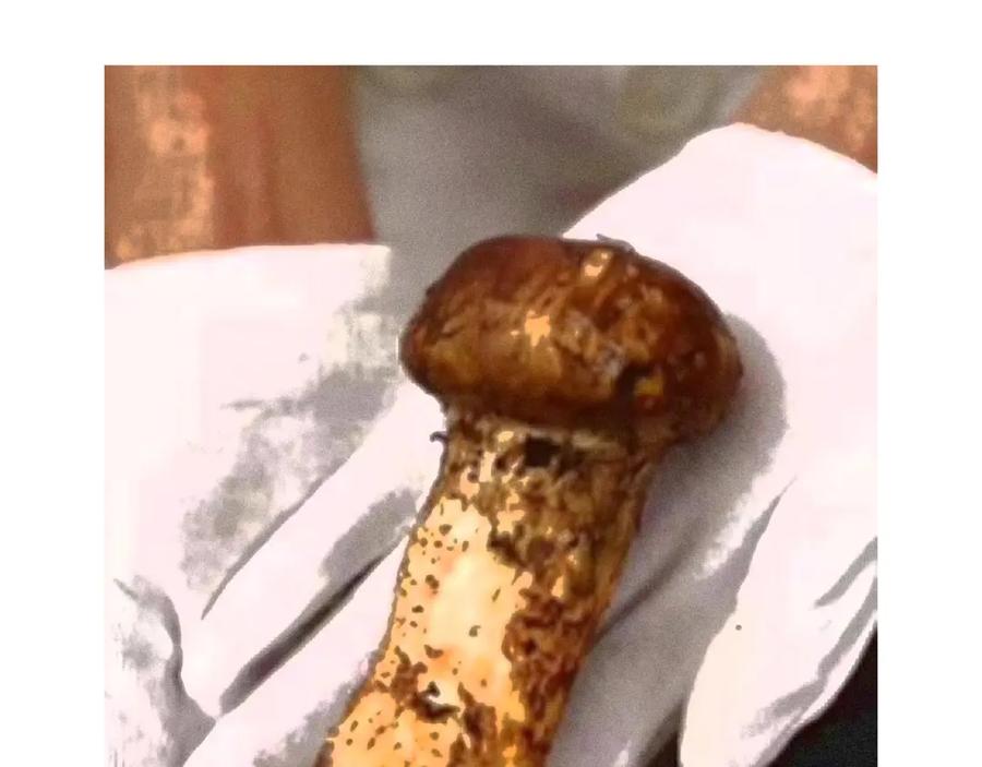 一口吃个兔 第59章 偶遇 第89页
