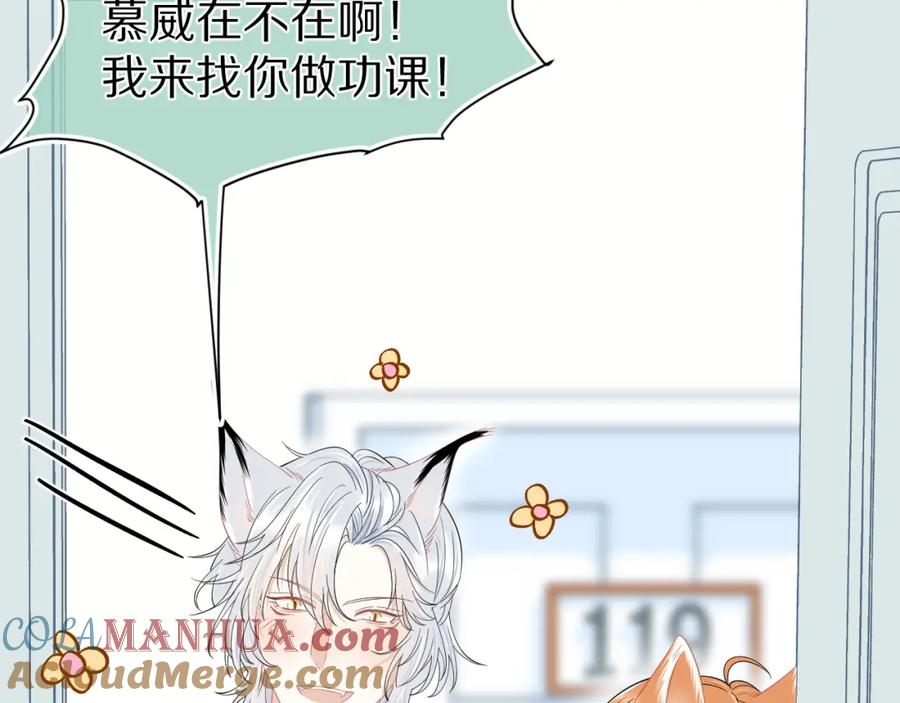 一口吃个兔 第64章 我要温柔 第85页