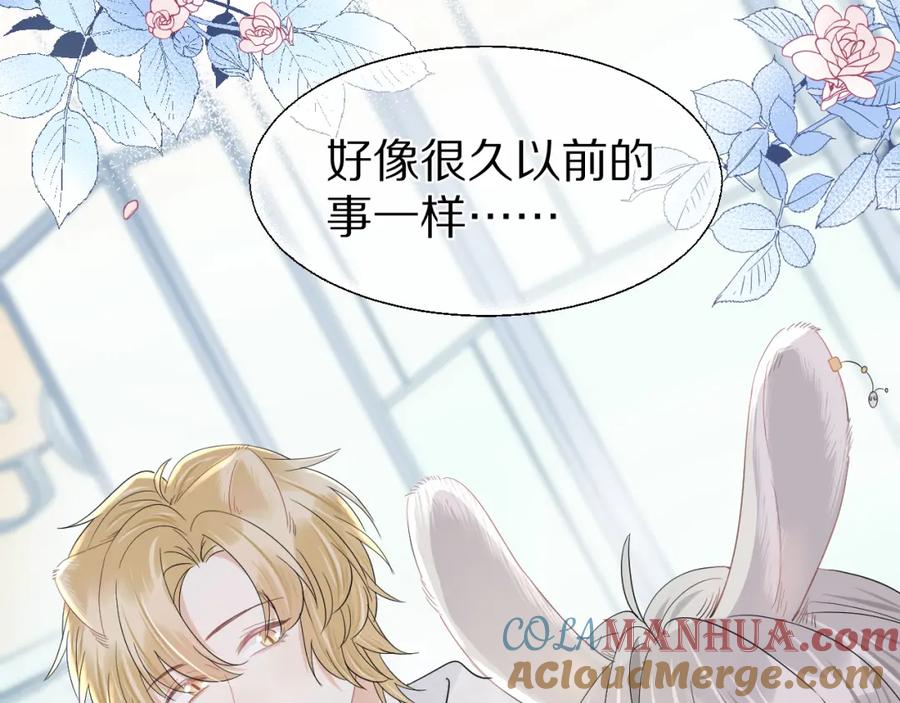 一口吃个兔 第66章 仪式感 第29页