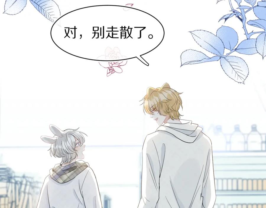 一口吃个兔 第66章 仪式感 第26页