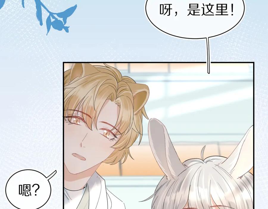 一口吃个兔 第66章 仪式感 第75页