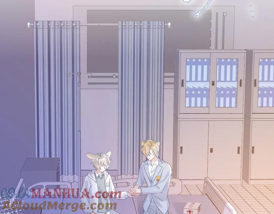 一口吃个兔 第5话 兔子都是萝卜做的 第5页