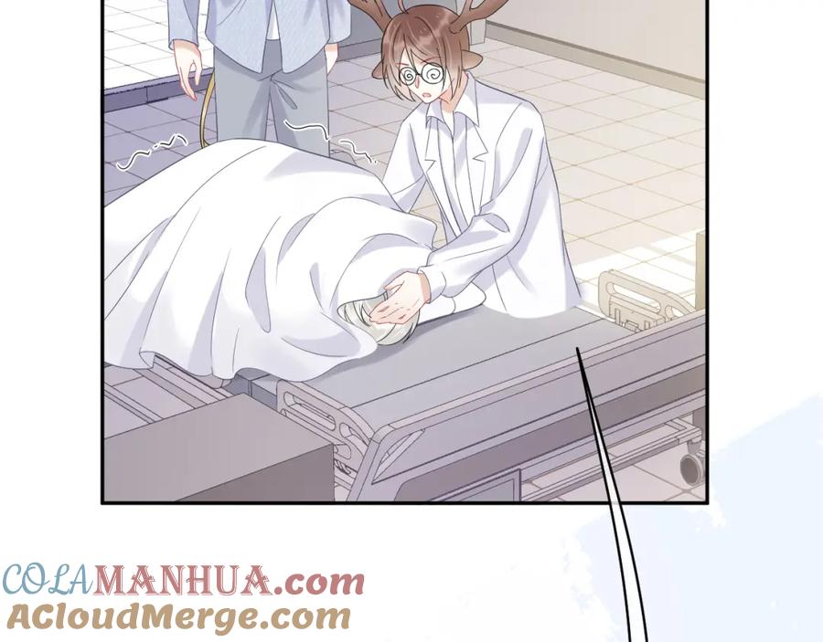 一口吃个兔 第5话 兔子都是萝卜做的 第53页