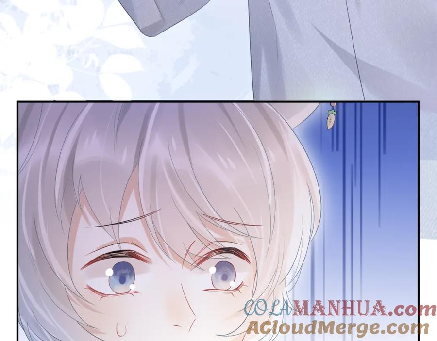 一口吃个兔 第5话 兔子都是萝卜做的 第9页