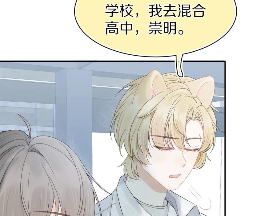 一口吃个兔 第72章 赶紧追到手 第71页