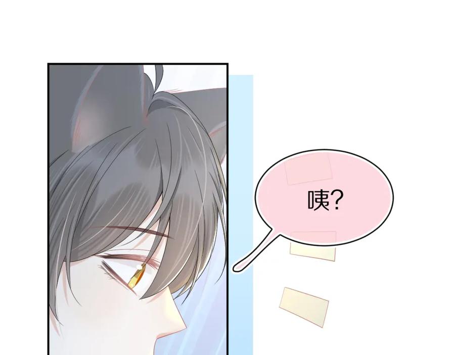 一口吃个兔 第73章 只要你希望的话 第81页