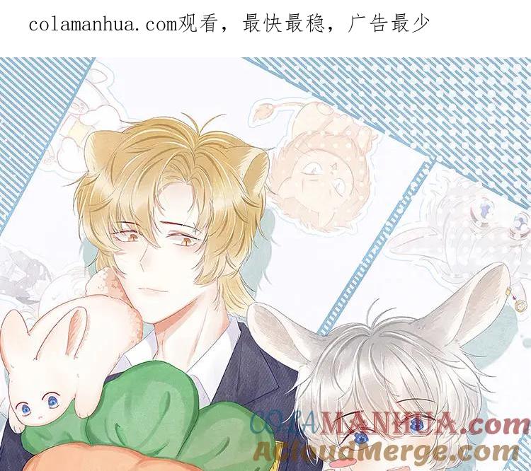 一口吃个兔 第73章 只要你希望的话 第1页