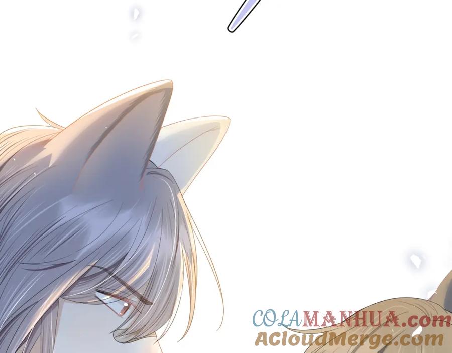 一口吃个兔 第73章 只要你希望的话 第52页