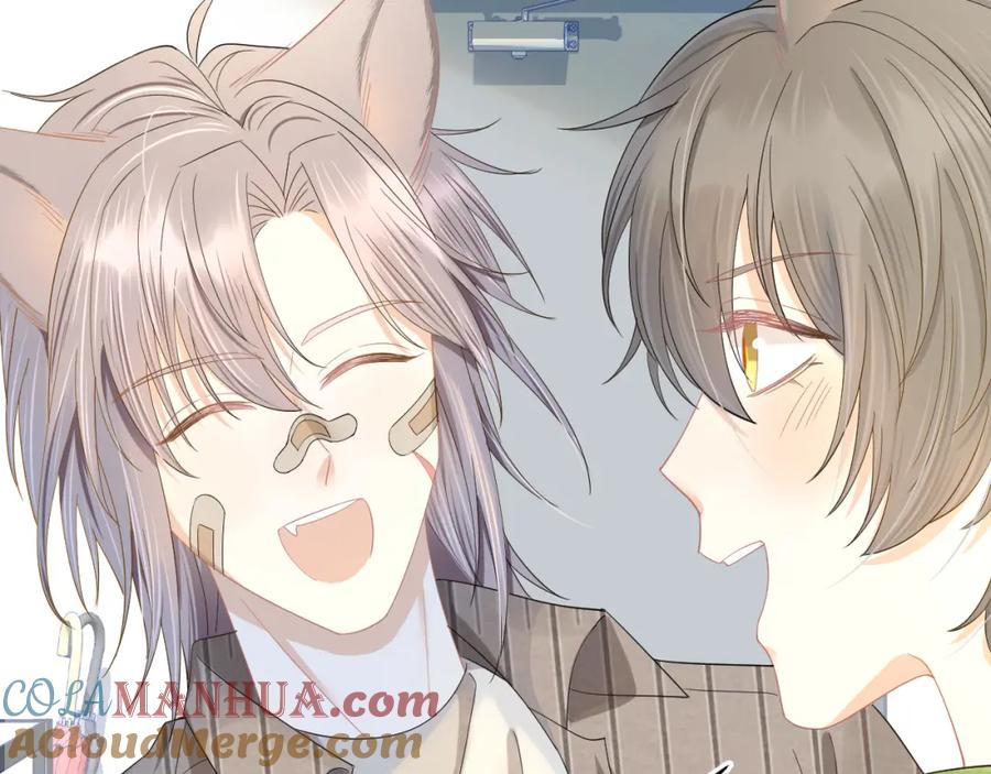 一口吃个兔 第73章 只要你希望的话 第13页