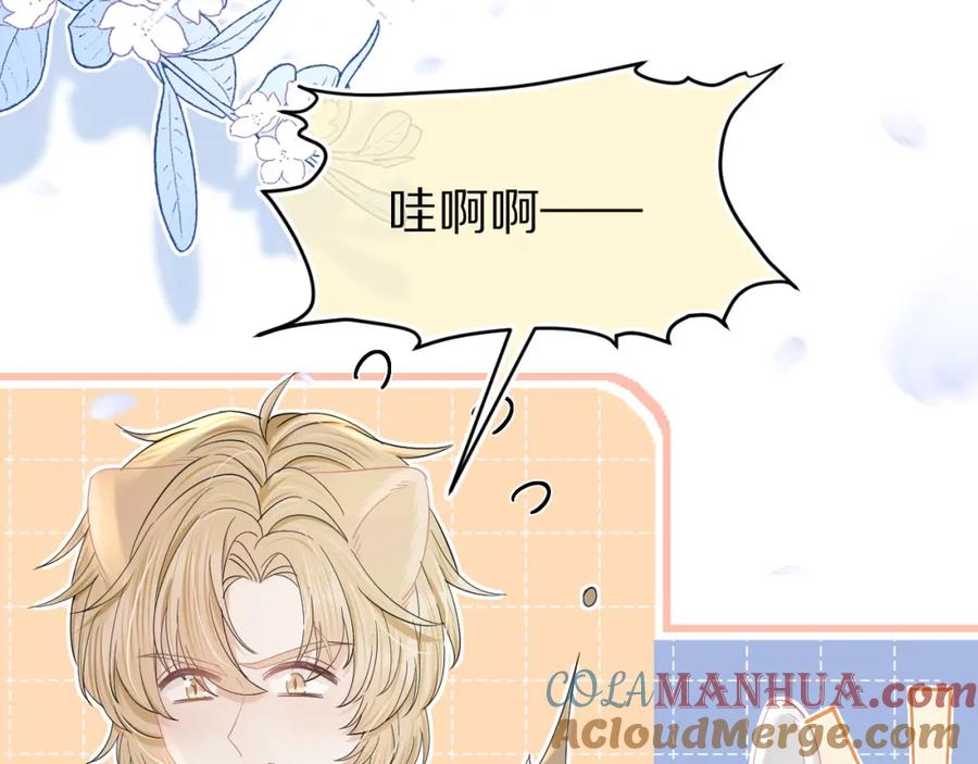 一口吃个兔 第75章 正式的告白 第41页