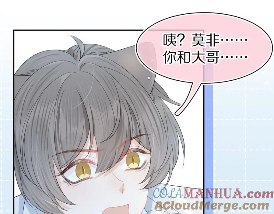 一口吃个兔 第78章 你们进展都好快 第61页