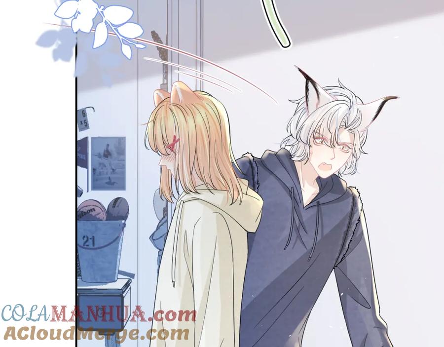 一口吃个兔 第79章 好日子 第13页