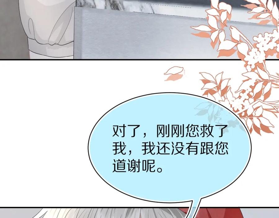 一口吃个兔 第82章 番外篇 其实我爱吃素 第51页