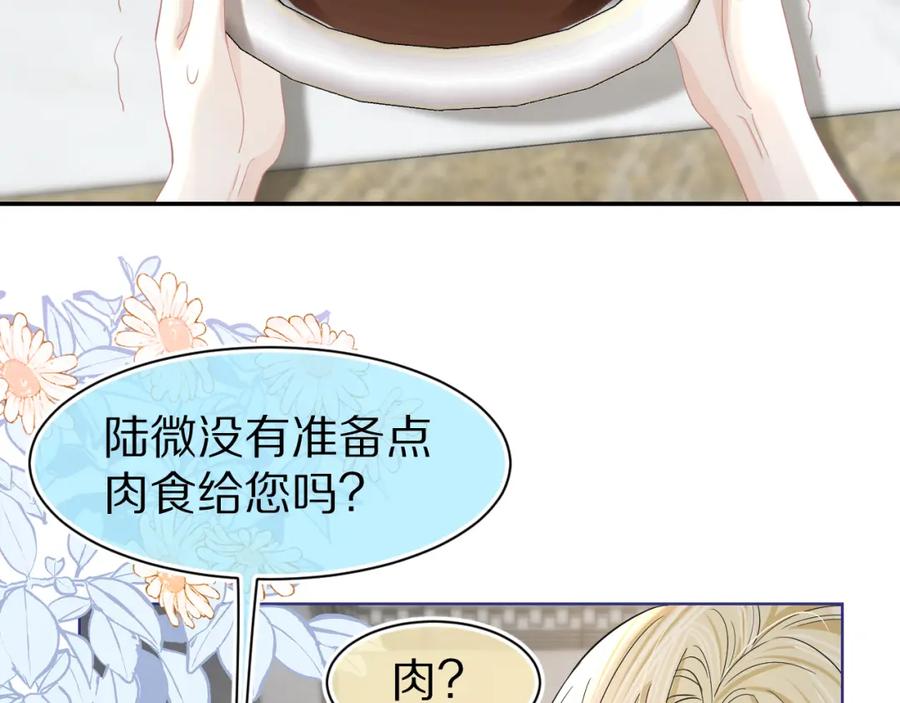 一口吃个兔 第82章 番外篇 其实我爱吃素 第30页