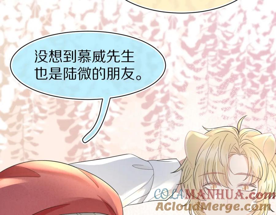 一口吃个兔 第82章 番外篇 其实我爱吃素 第16页