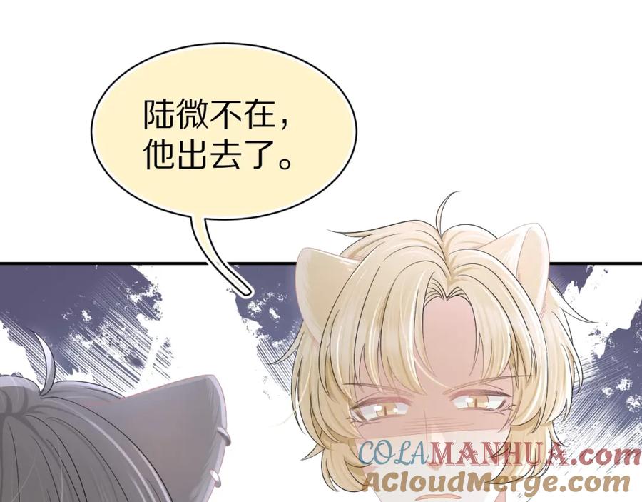 一口吃个兔 第82章 番外篇 其实我爱吃素 第67页