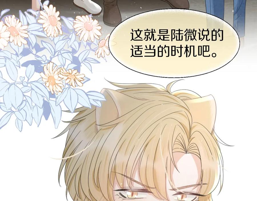 一口吃个兔 第84章 番外篇 我想保护你 第55页