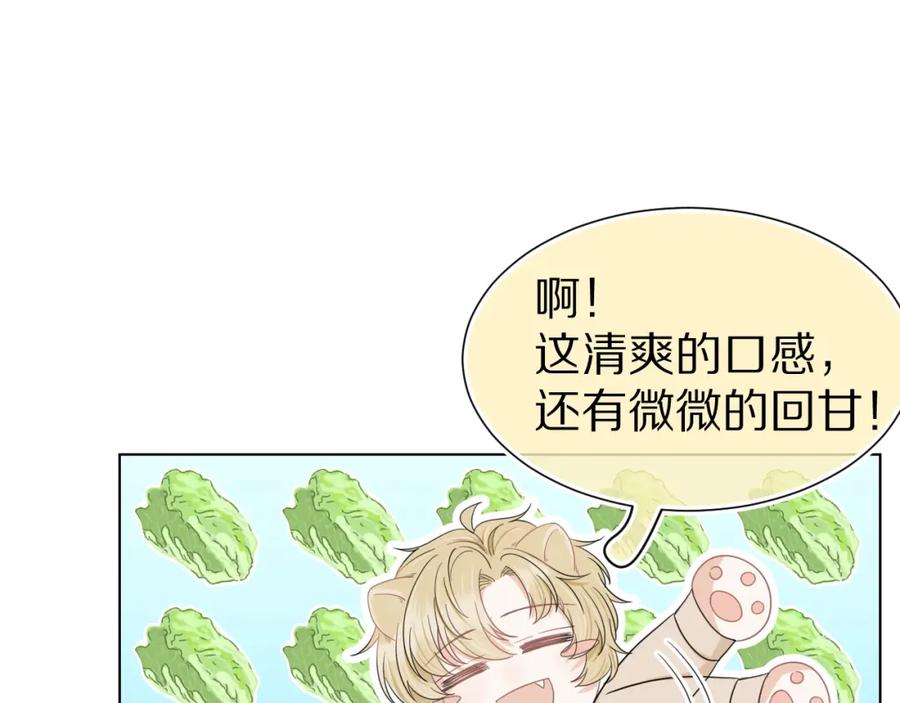 一口吃个兔 第86章 番外篇 见家长（1） 第23页