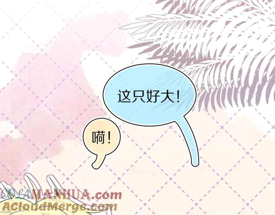 一口吃个兔 第88章 番外篇 海风和烧烤 第10页
