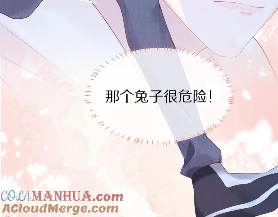 一口吃个兔 第3话 这只兔子有点危险！ 第37页