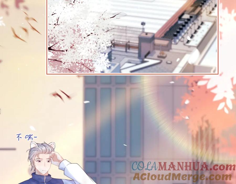 一口吃个兔 第3话 这只兔子有点危险！ 第45页