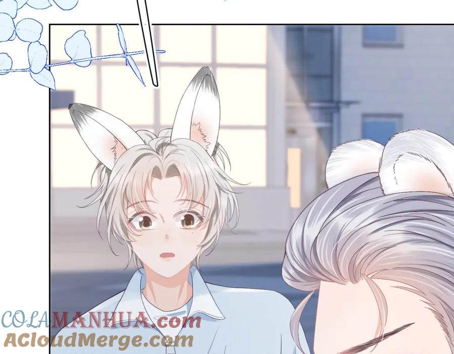 一口吃个兔 第5话 他是我罩的！ 第41页