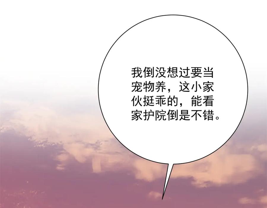 《异能重生我提前登顶》第33话 意外的宠物 第4页