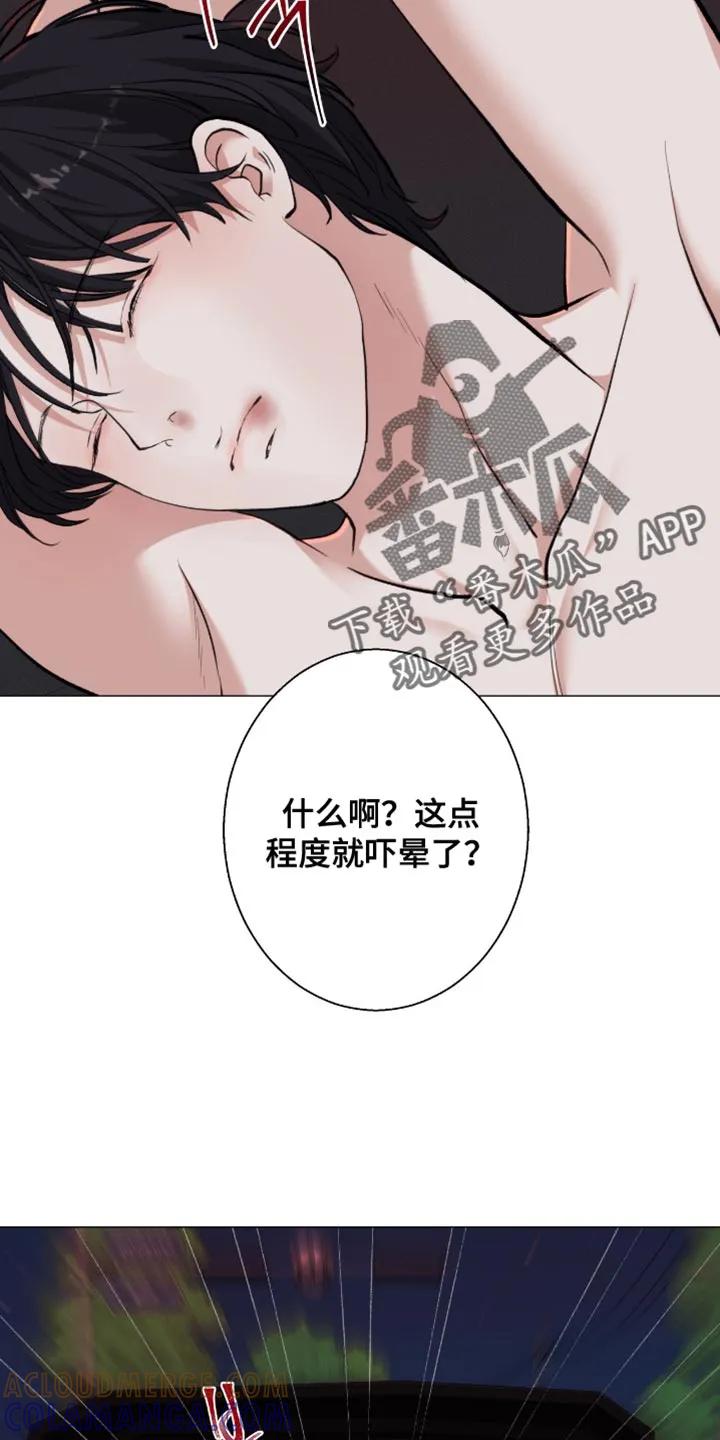 《海岛人生》第101章：【第二季】连我也被骗了 第15页
