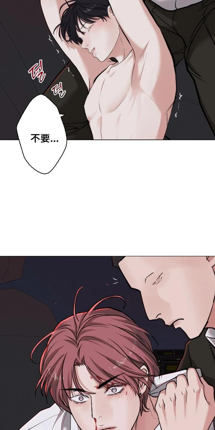 《海岛人生》第101章：【第二季】连我也被骗了 第12页